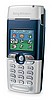 Sony Ericsson T310.jpg